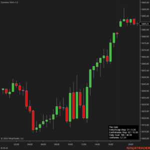 Dynamic Grid - NinjaTrader
